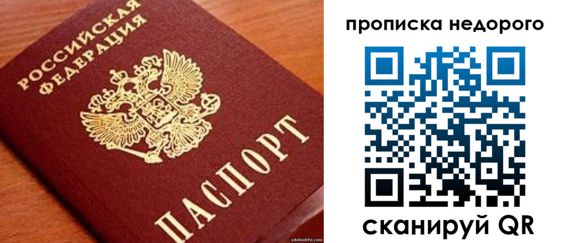 прописка гарантия в Саранске